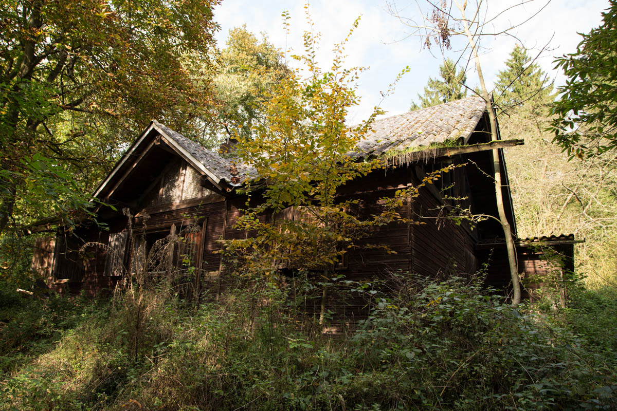 Galerien Hühnchenfarm