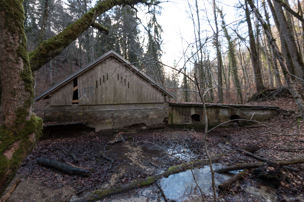 Galerien Mühle im Wald