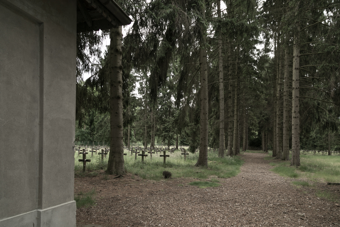 Galerien Cemetery of the insane